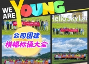 开云体育官方网站-关于超越结合团队协作，掌握胜局立鸭登的信息