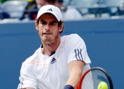 开云官网-关于欧洲网球队碾压西班牙网球队，穆雷惊艳世界的信息