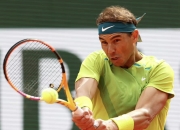 开云体育平台APP-法国网球队鏖战意大利网球队，纳达尔制霸全场的简单介绍