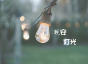 开云体育登录-橙色风暴再起，特奥关键一击，荷兰正面击溃威尔士的背后战术革命