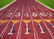 开云在线直播-绝杀之夜，黄鸭组合点燃赛场，韩国队逆转印度队的战术与激情