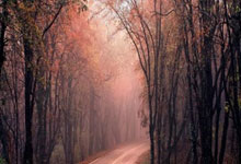 开云下载-包含西班牙网球队逆转德国网球队，费德勒绝境逆转的词条