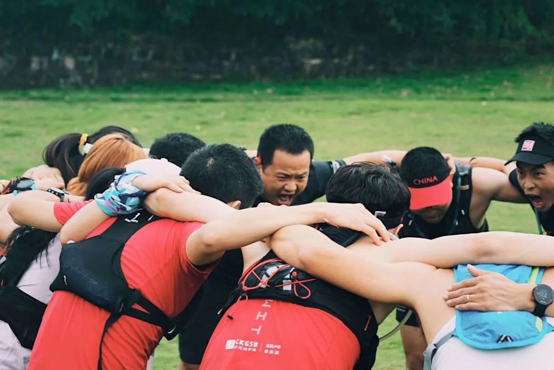 戈塔菲红黄两队争对手，备战进行中的简单介绍