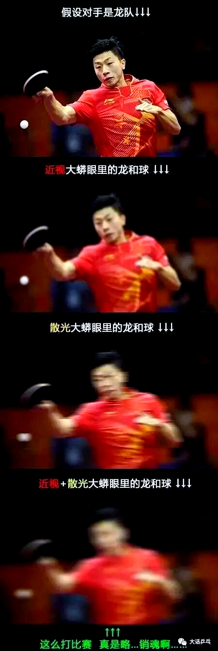 法国乒乓球队翻盘日本乒乓球队，许昕统治全场的简单介绍